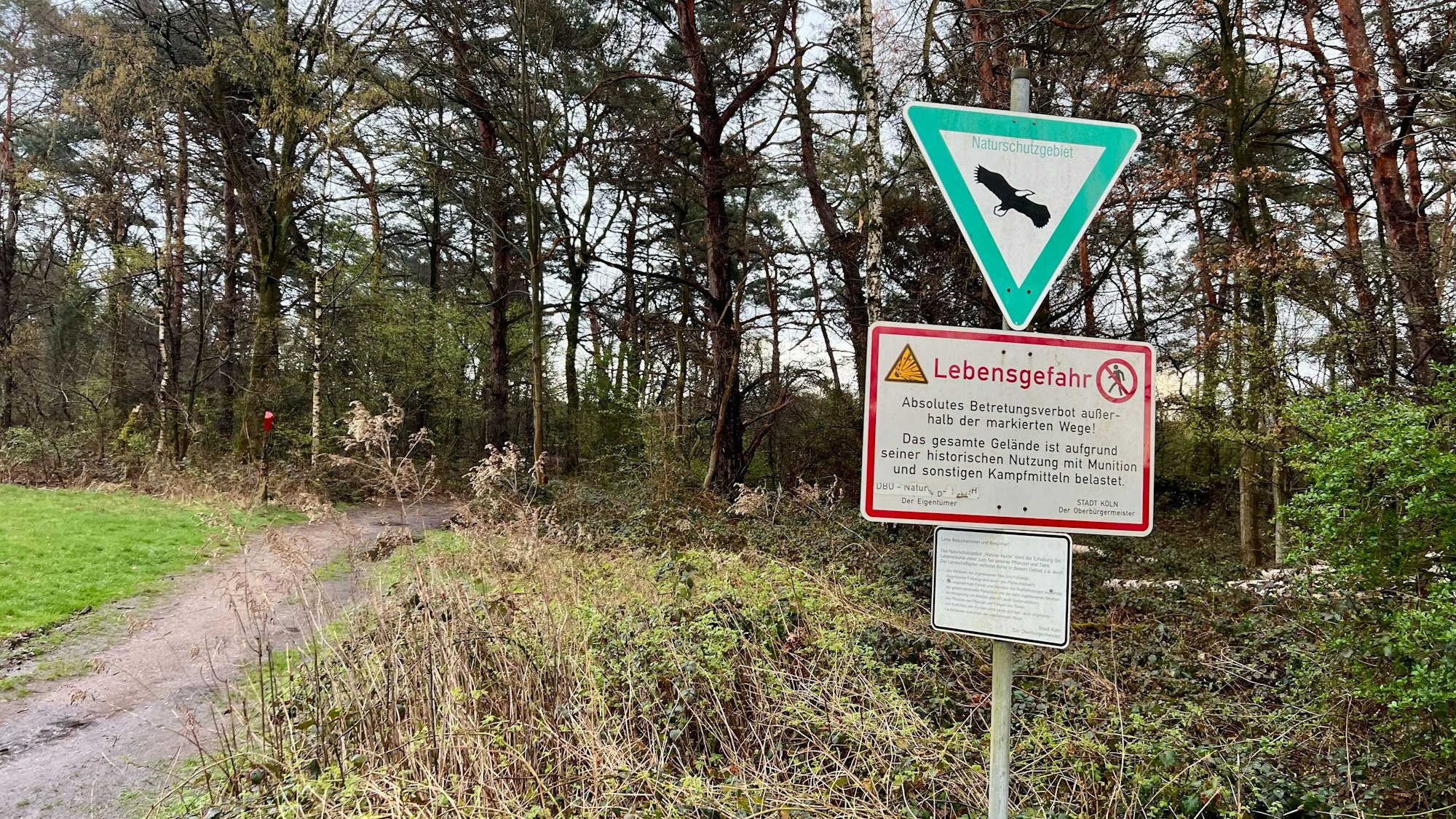 Ein Schild mit dem Hinweis „Lebensgefahr“ in der Wahner Heide weist darauf hin, dass Flächen außerhalb der markierten Wege nicht betreten werden dürfen. Im Hintergrund ist ein Wald zu sehen.