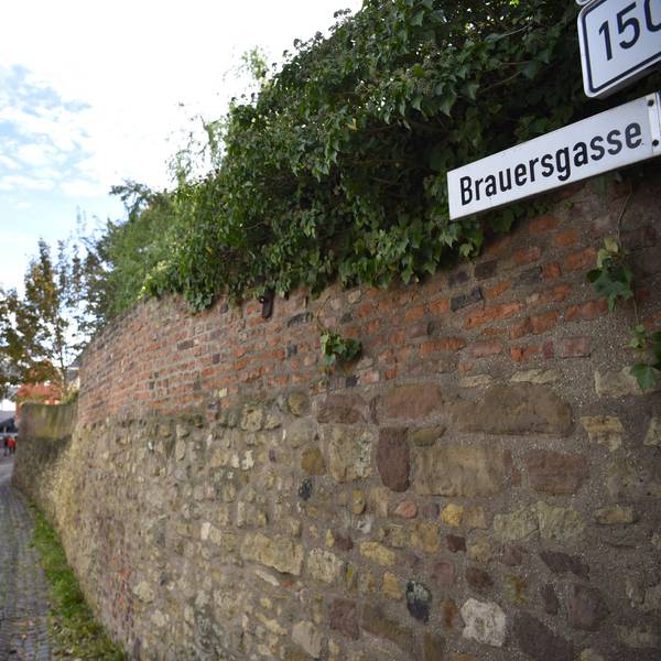 Das Bild zeigt die Brauersgasse. Links stehen Häuser, rechts befindet sich die Stadtmauer.