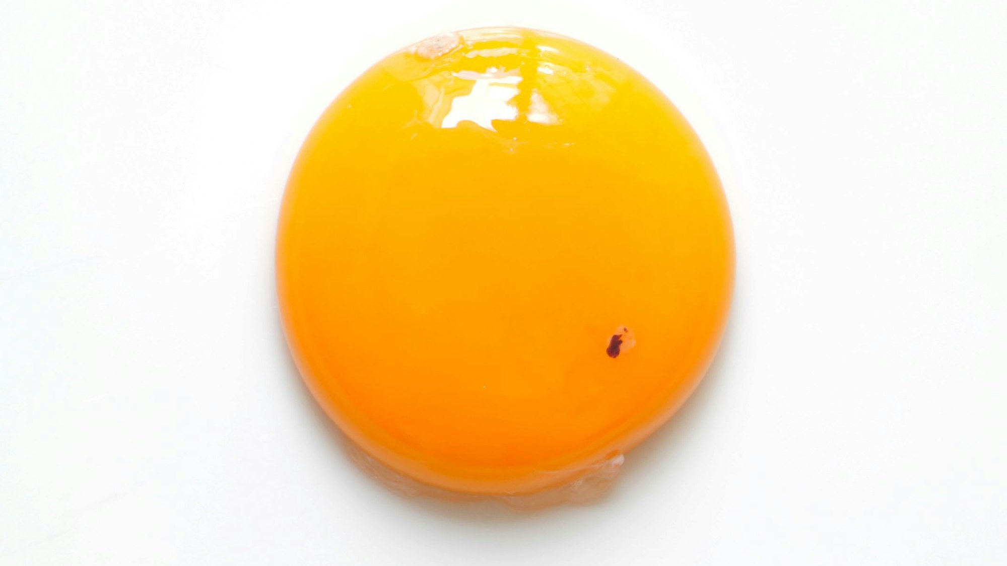 Rohes Eigelb mit kleinem Punkt