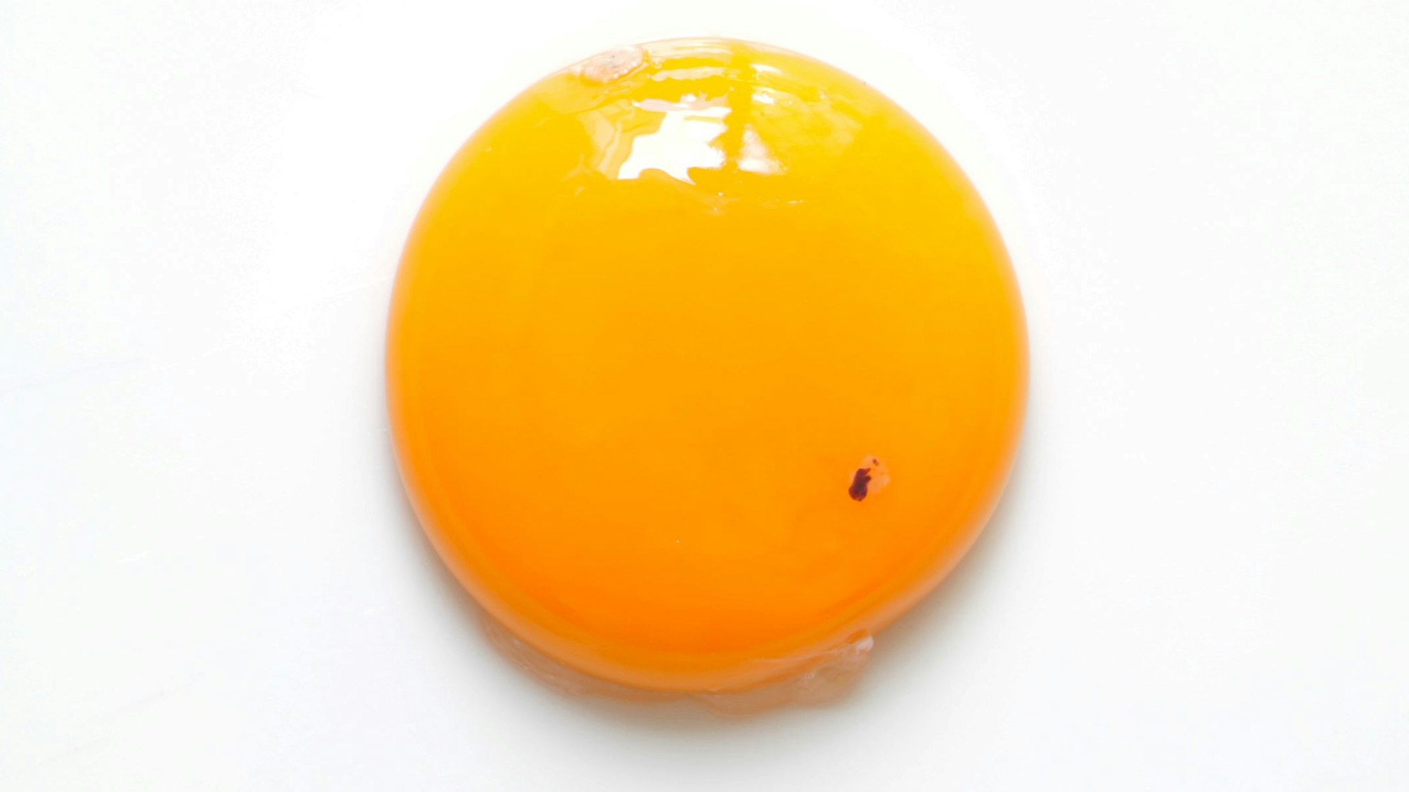 Rohes Eigelb mit kleinem Punkt