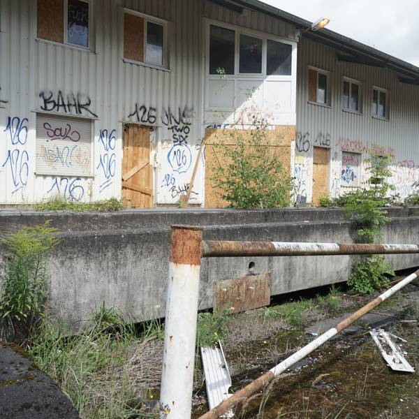 Ein mit Graffiti bemaltes und mit Pflanzen überwuchertes Gebäude auf dem Gelände der Grube Winter.