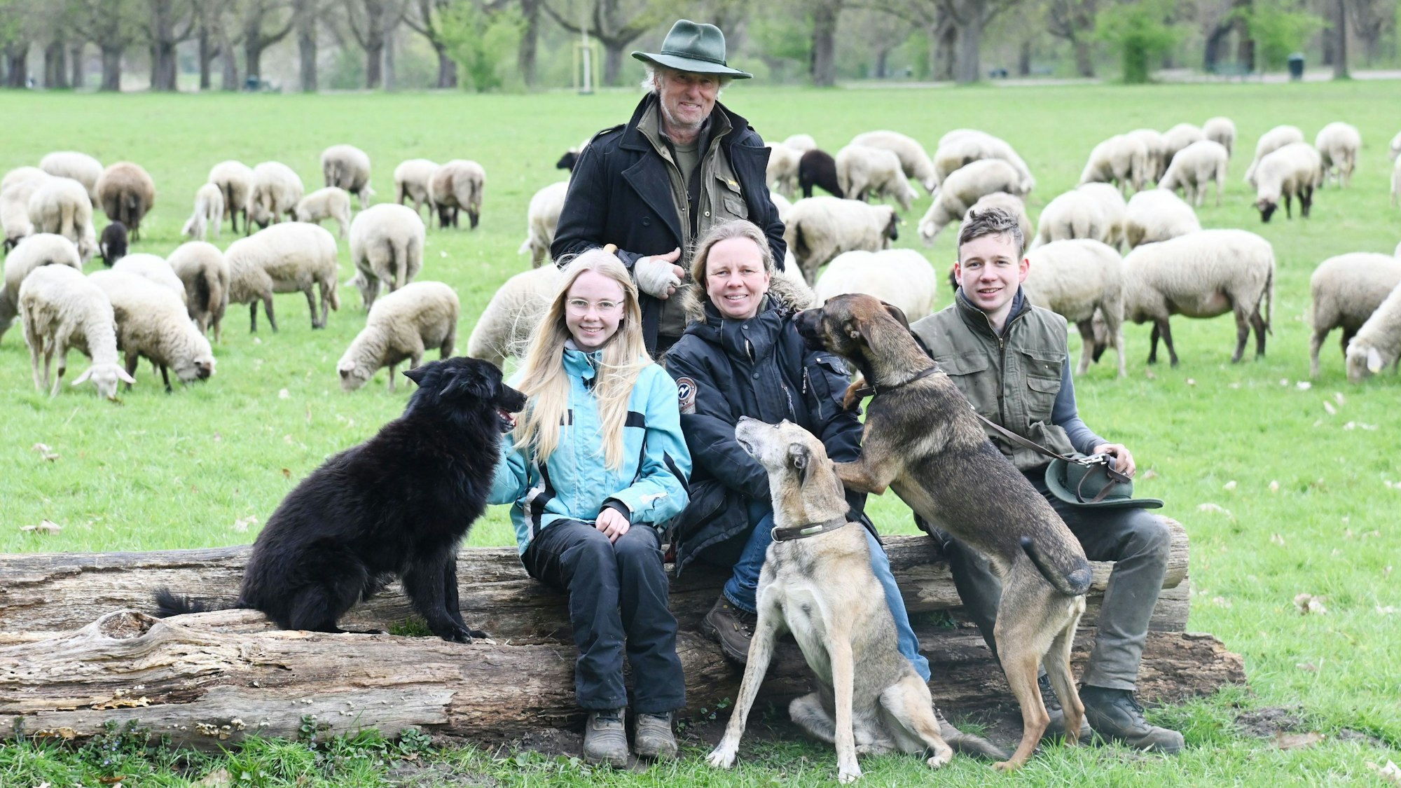Die vier Personen sitzen mit ihren Hunden auf einem Baumstamm, hinter ihnen Schafe.