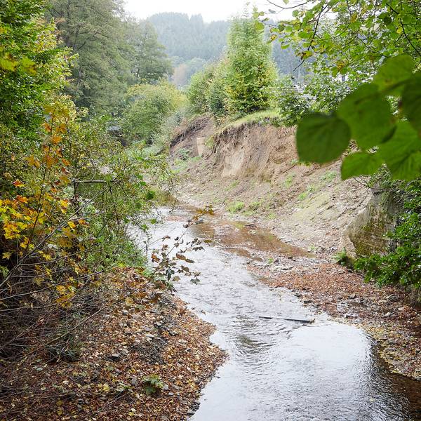 Das Bild zeigt den Platißbach wenige Monate nach der Flutkatastrophe 2021. Auf rund 40 Metern war in der Höhe des Campingplatzes der Hang zum Platißbach abgerutscht.