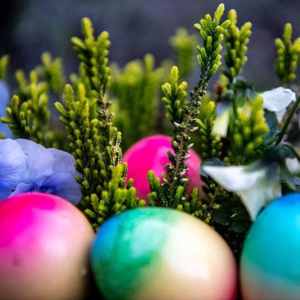 Bunte Eier in einem Osterkorb.