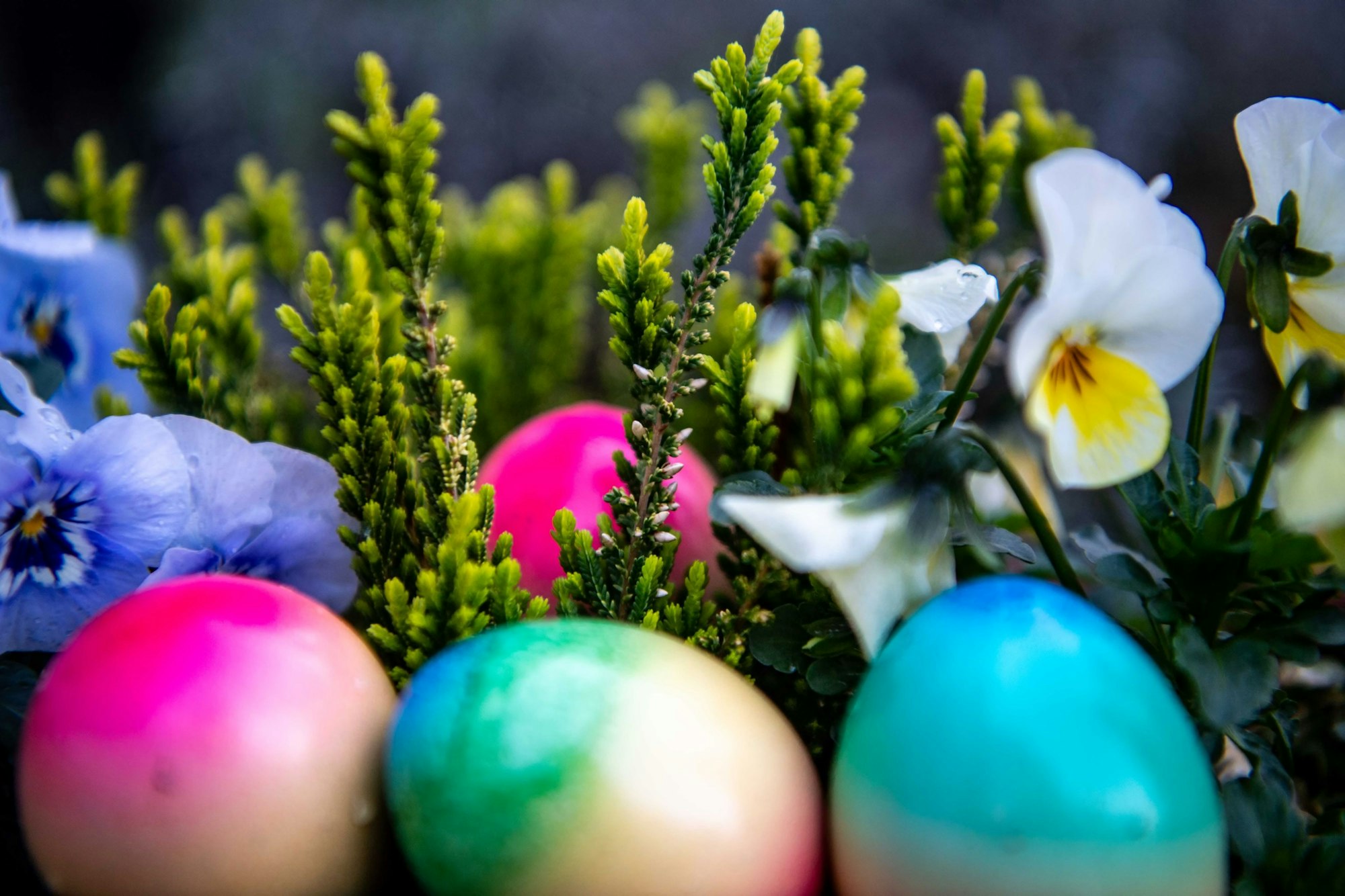 Bunte Eier in einem Osterkorb.