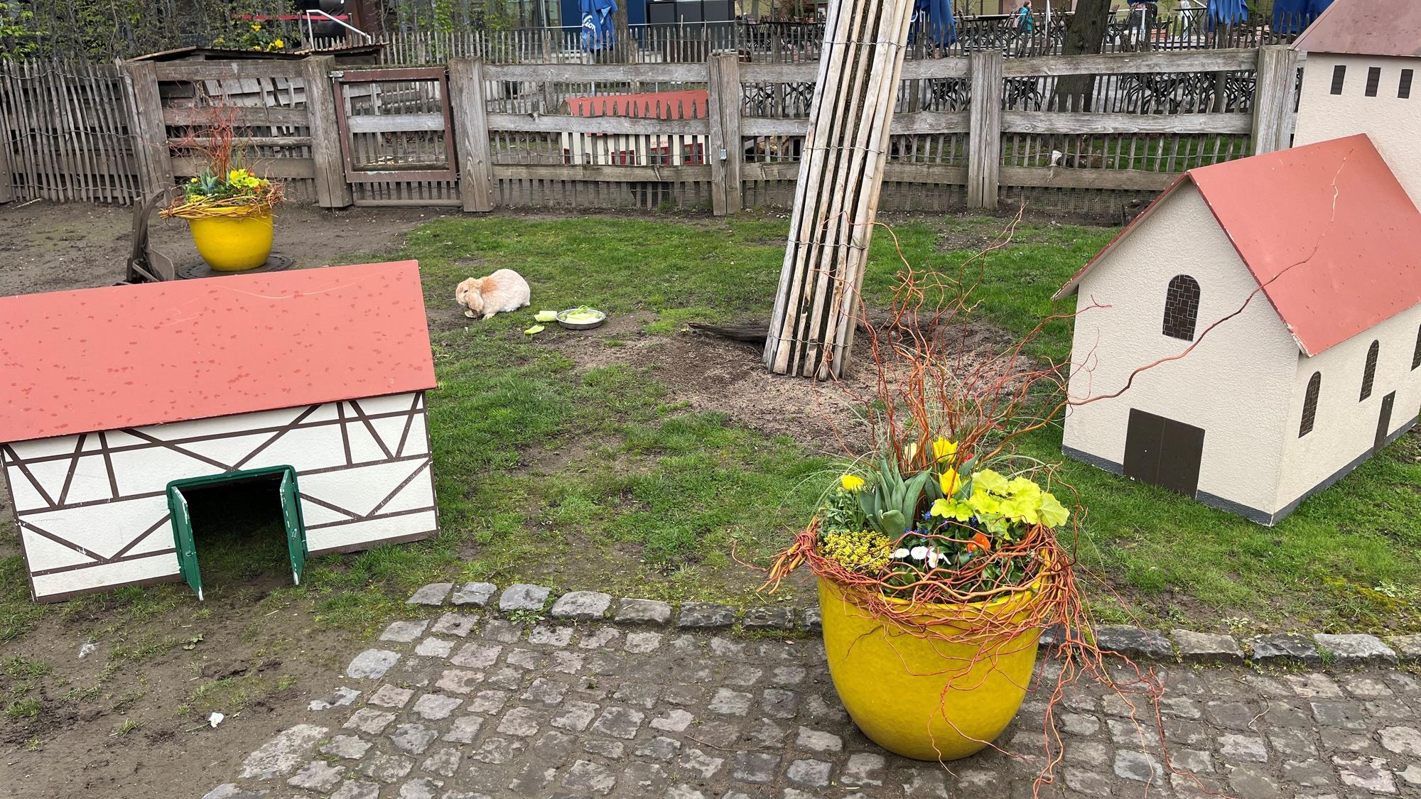 Ein Kaninchen sitzt auf einem Rasen. Miniatur-Fachwerkhäuser stehen als Unterschlupf bereit.