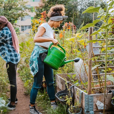 Zwei Frauen kümmern sich um einen Gemeinschaftsgarten in der Stadt und gießen die Beete.
