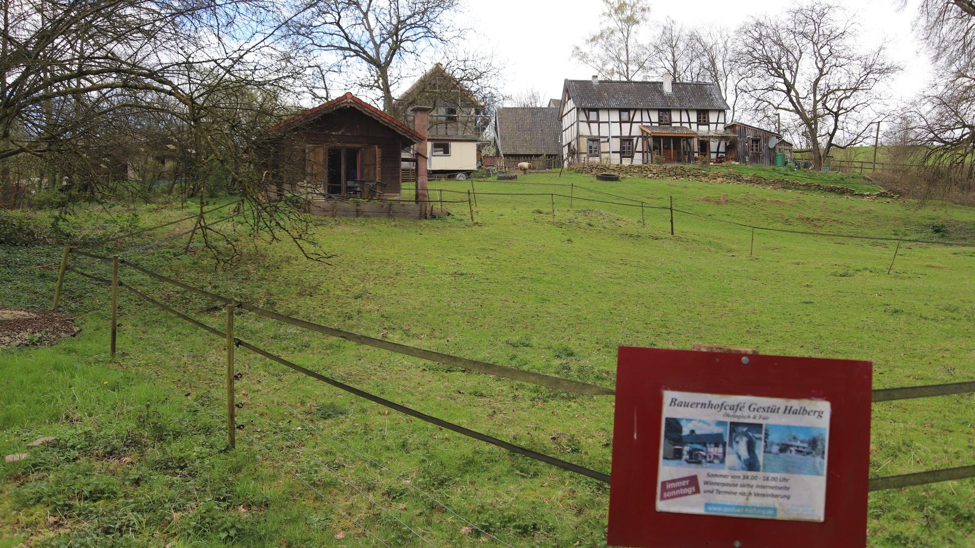 Das Gestüt Halberg liegt im idyllischen Tal des Halberger Baches in schöner Alleinlage.