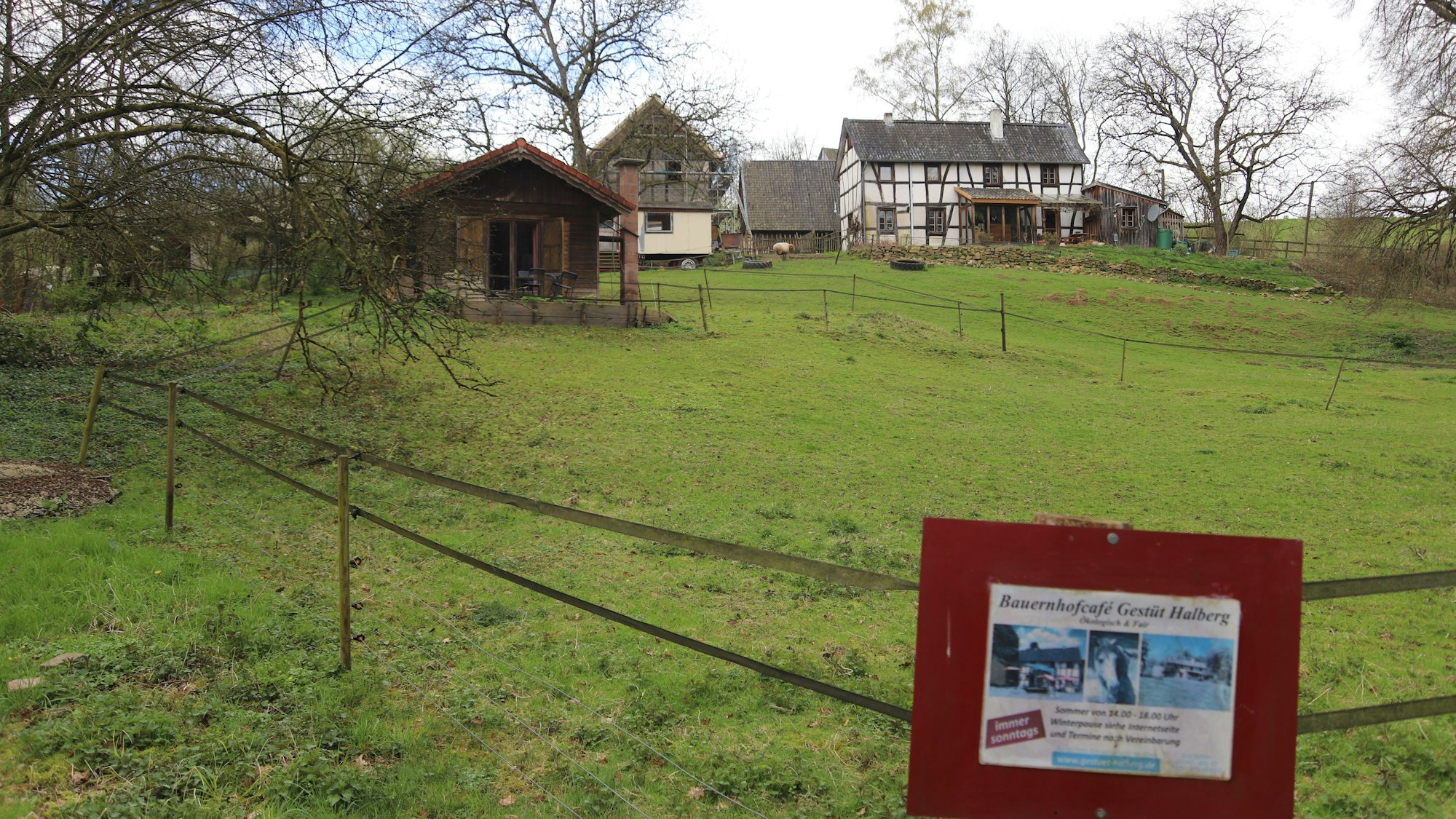 Das Gestüt Halberg liegt im idyllischen Tal des Halberger Baches in schöner Alleinlage.