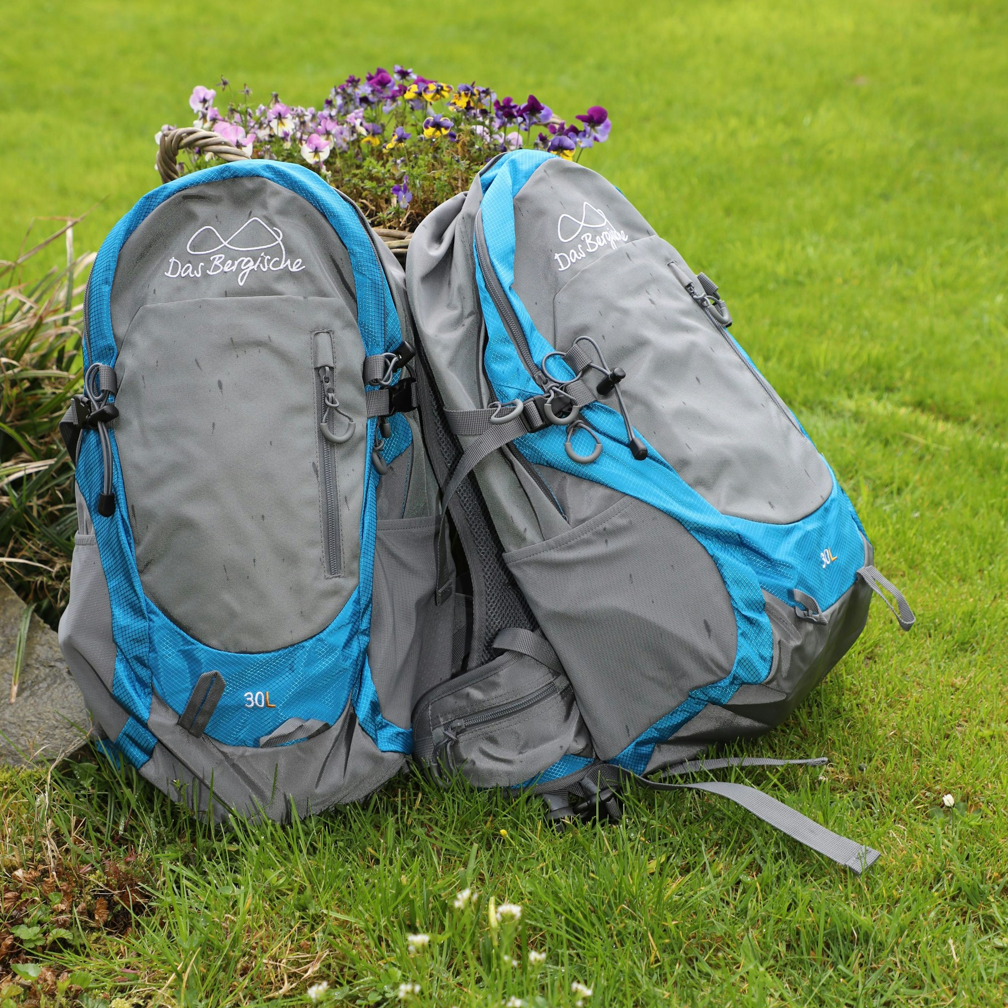 Zwei Rucksäcke lehnen auf einer Wiese an einem Baumstamm.