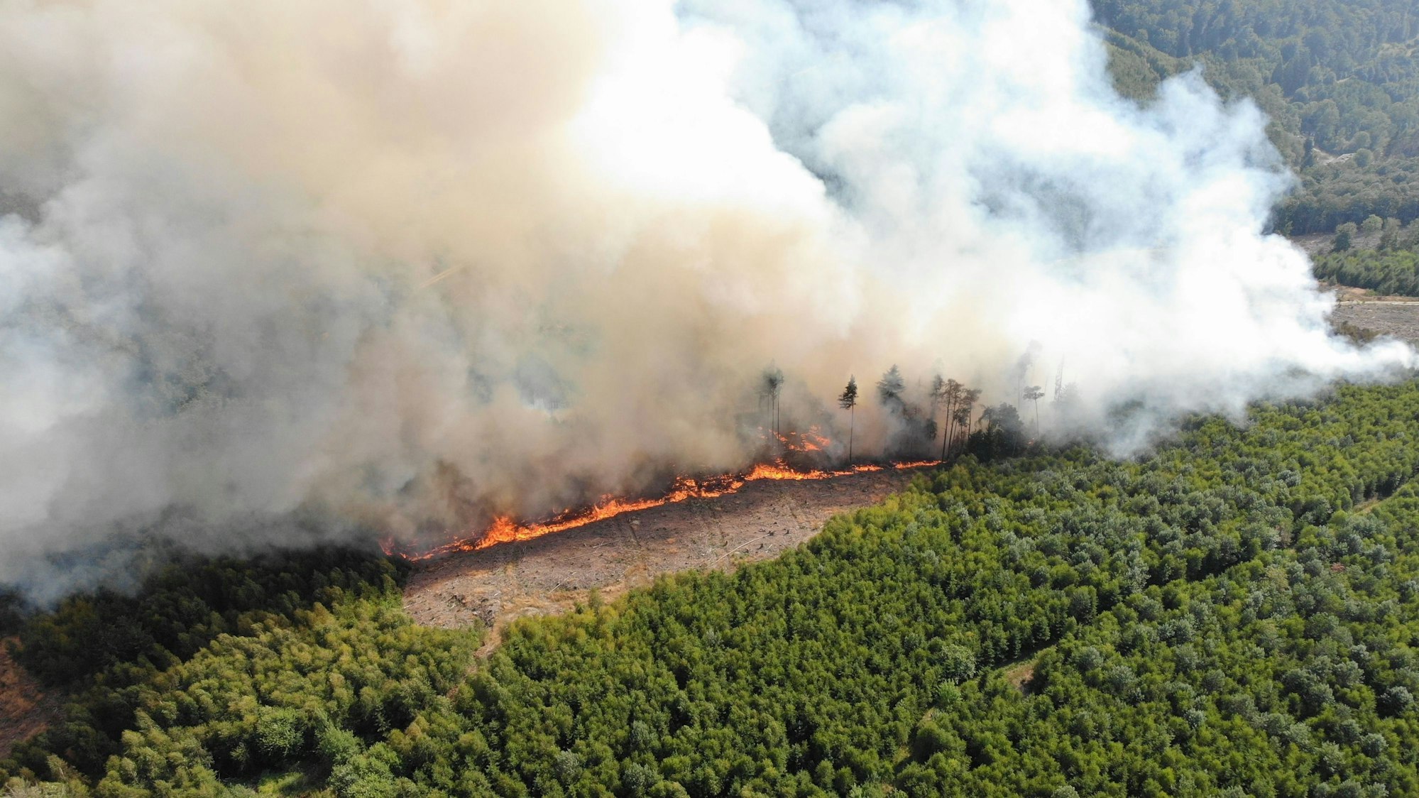 Auch bei Waldbränden wie hier im Sauderland wurden große Flächen in den NRW-Wäldern vernichtet.