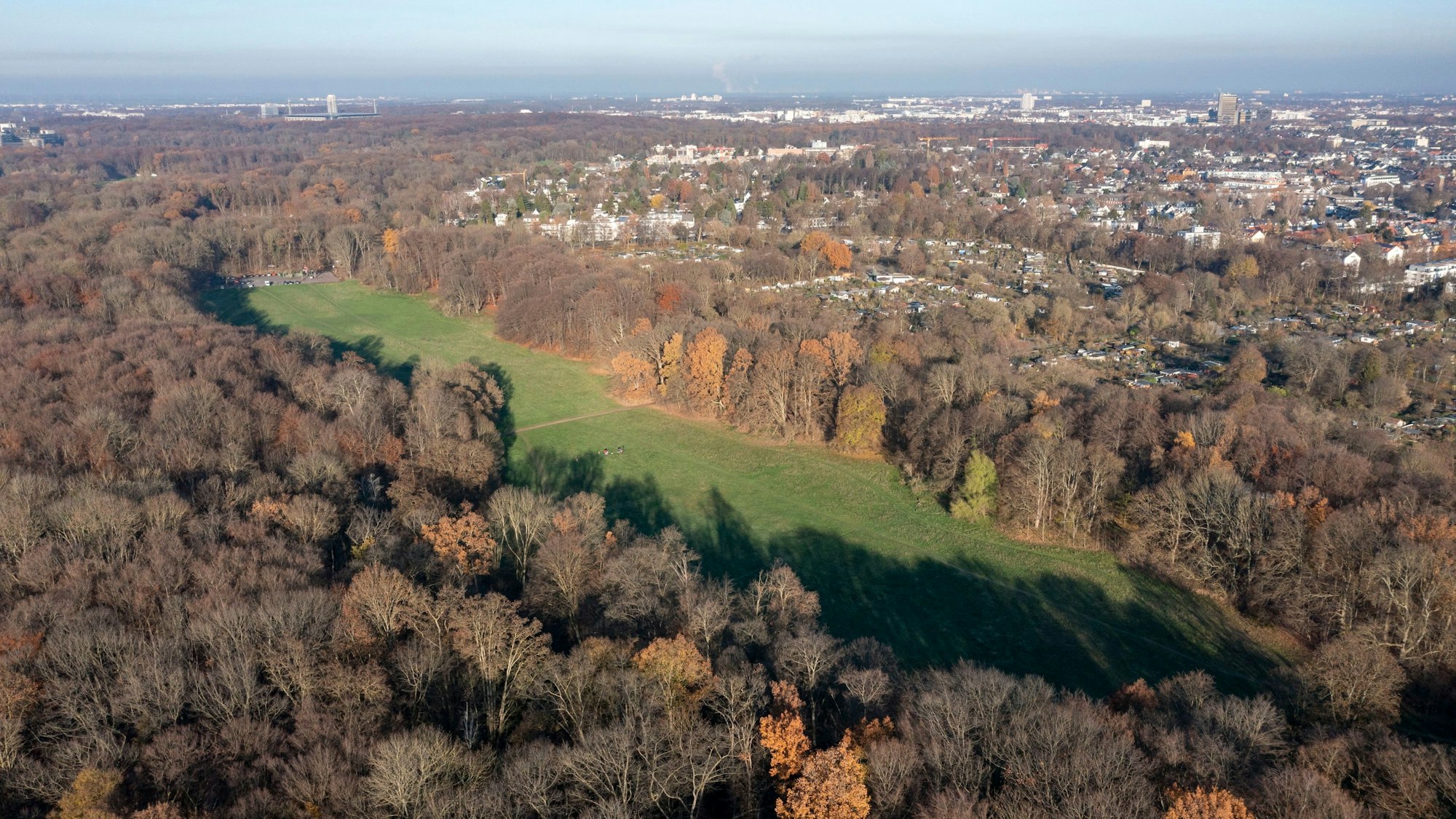 Blick auf die Gleueler Wiese. Der 1. FC Köln möchte dort drei Fußball-Plätze bauen.