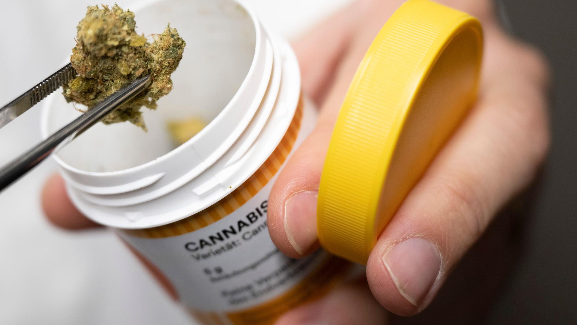 Cannabisblüten zur medizinischen Behandlung.
