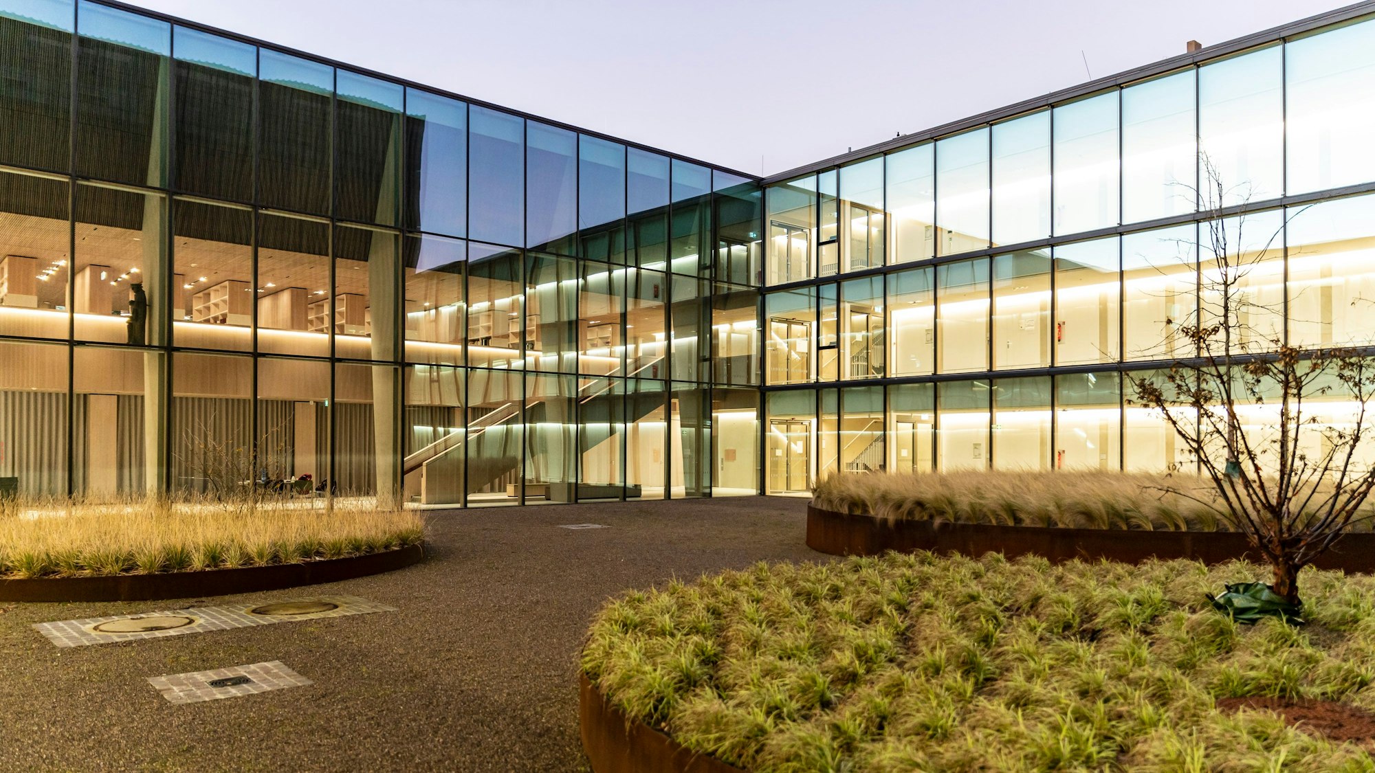 Eine Glasfront erstreckt sich hinter einem begrünten Innenhof.