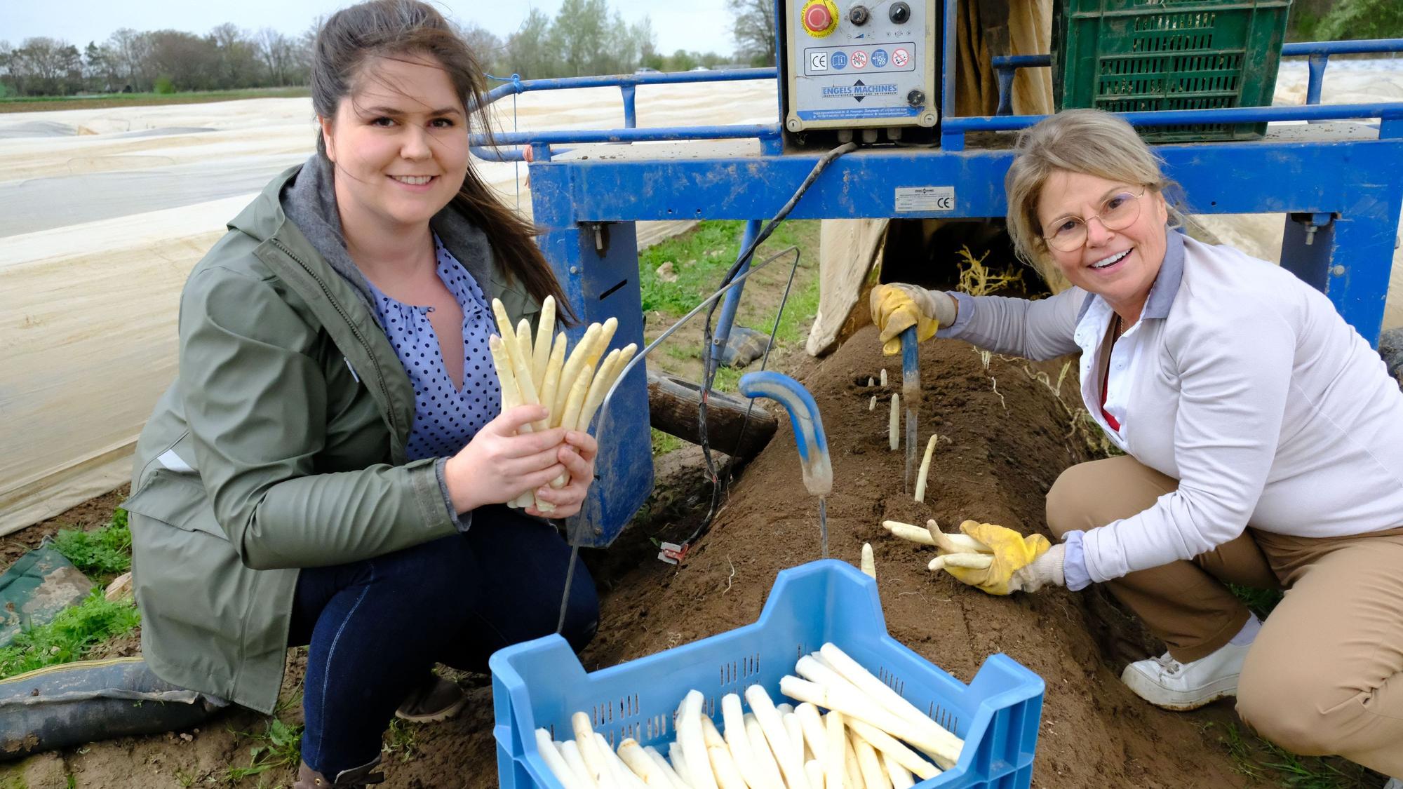 Danielle (r.) und Bibi Bieger bei der Spargelernte.