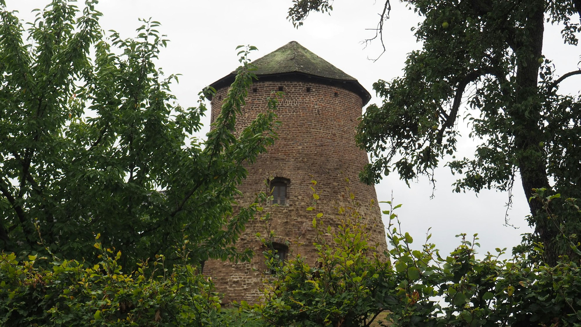 Die Brauweiler Mühle versteckt sich hinter Bäumen.
