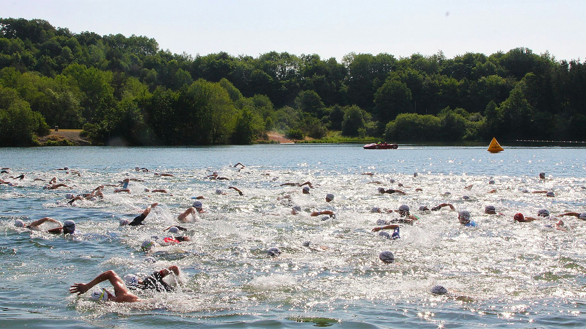 Viele Leute schwimmen durch einen See.