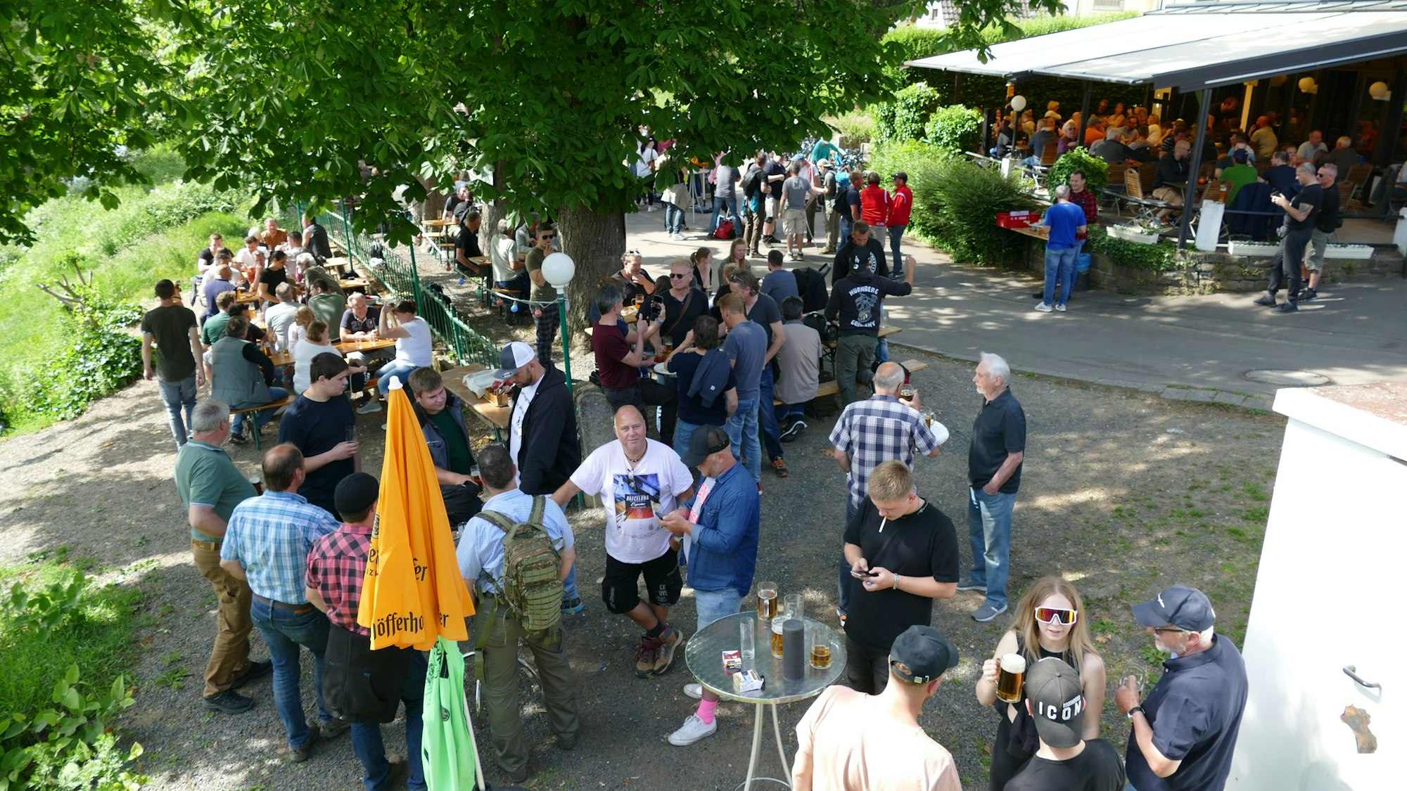 Menschen stehen unter großen, dicken Bäumen.
