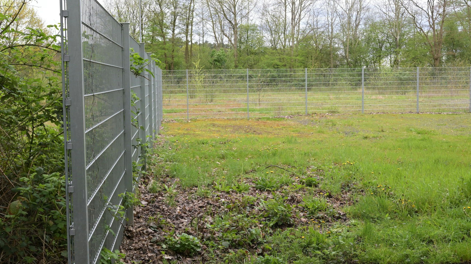 Das Foto zeigt den ehemaligen Sportplatz in Bergisch Gladbach-Katterbach