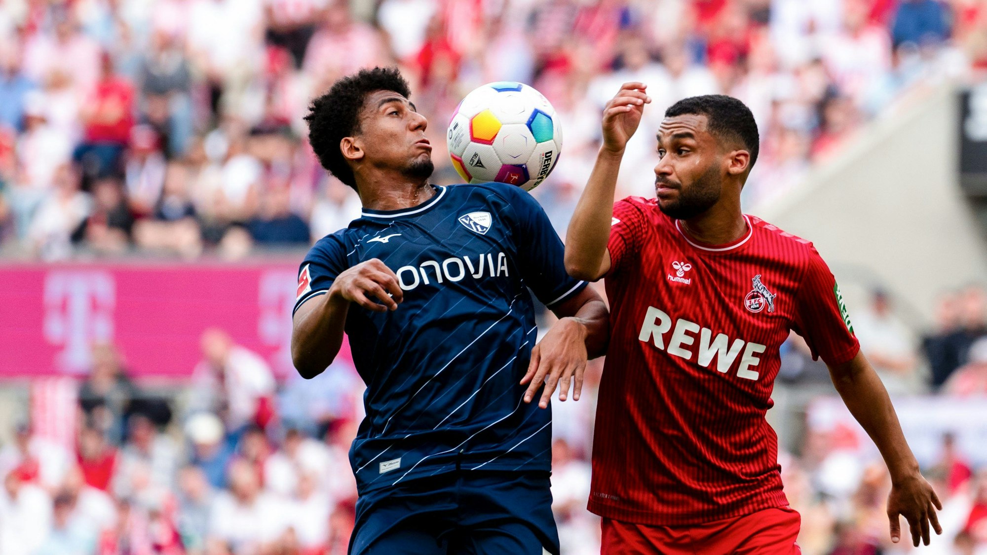 Bernardo gegen Maina