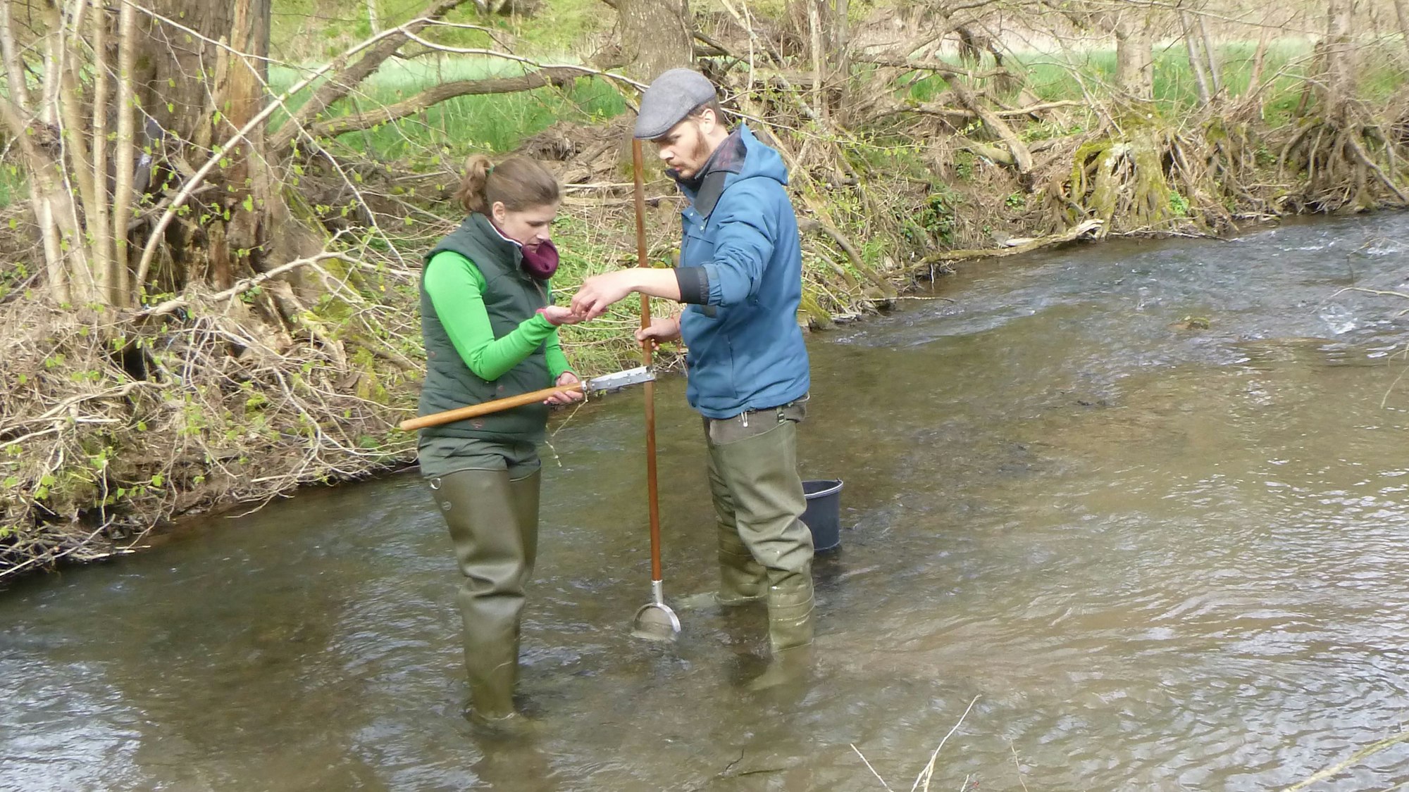 Ein Mann und eine Frau stehen in Anglerhosen mit Käscher und Eimer im flachen Bett der Erft.