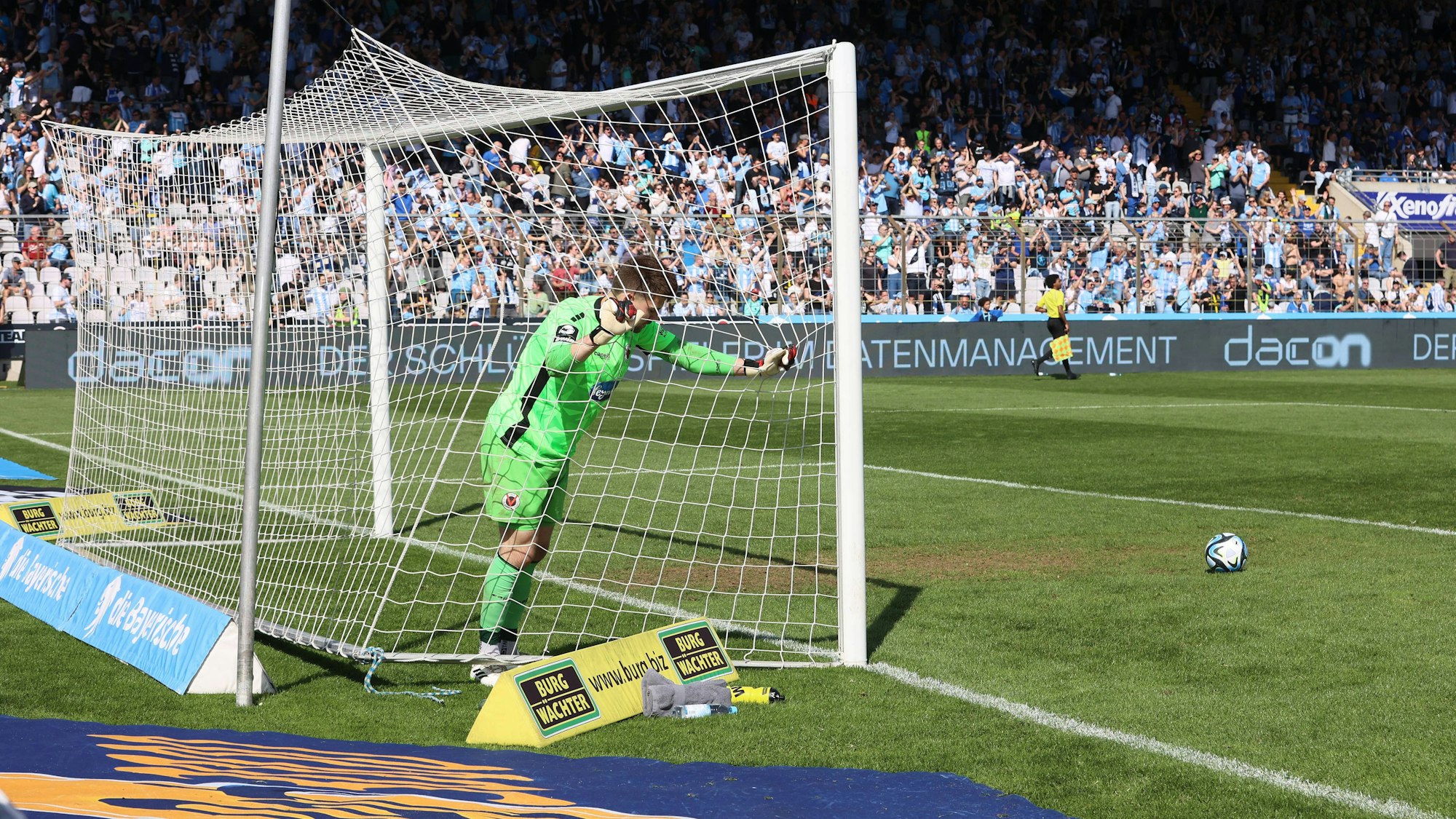 München, Deutschland 06. April 2024: Fussball, Herren, 3.Liga, Saison 2023/2024, TSV 1860 München - FC Viktoria Köln, Grünwalder Stadion Hier im Bild Ben Voll FC Viktoria Köln beim 2:0 durch Florian Engelhardt FC Viktoria Köln mit einem Eigentor, Tor DFB regulations prohibit any use of photographs as image sequences and/or quasi-video *** Munich, Germany 06 April 2024 Soccer, Men, 3 Liga, Season 2023 2024, TSV 1860 München FC Viktoria Köln, Grünwalder Stadion Here in the picture Ben Voll FC Viktoria Köln at 2 0 by Florian Engelhardt FC Viktoria Köln with an own goal, goal DFB regulations prohibit any use of photographs as image sequences and or quasi video