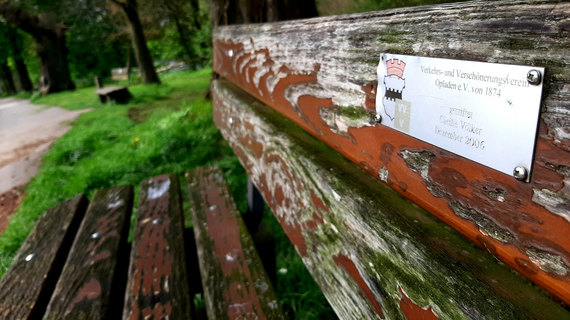 Bank in der Ludwig-Rehbock-Anlage in Opladen.