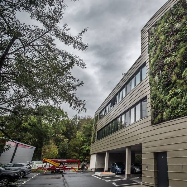Fassadenbegrünung am Klinikum