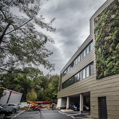 Fassadenbegrünung am Klinikum