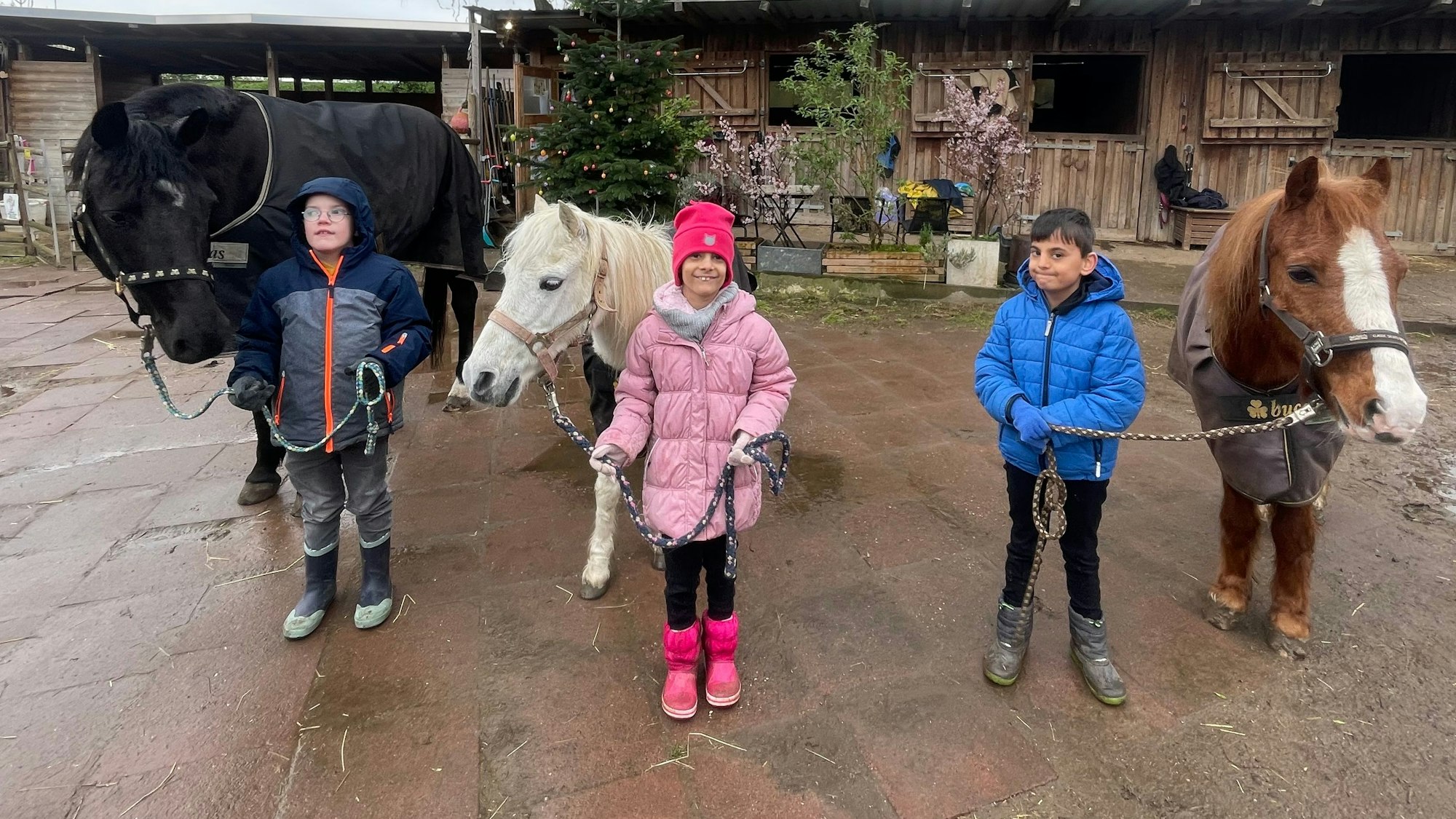 Zwei Jungen und ein Mädchen stehen auf dem Gelände des „Ivenshofs“ und halten Pferde an der Leine.