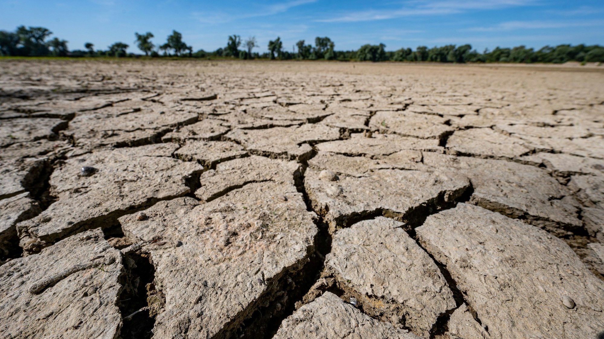 2022: Aufgerissen und ausgetrocknet ist eine Sandbank an der Niedrigwasser führenden Donau. Doch Hannah Ritchie sagt:„ Die Lösungen, die es braucht, sind da.“