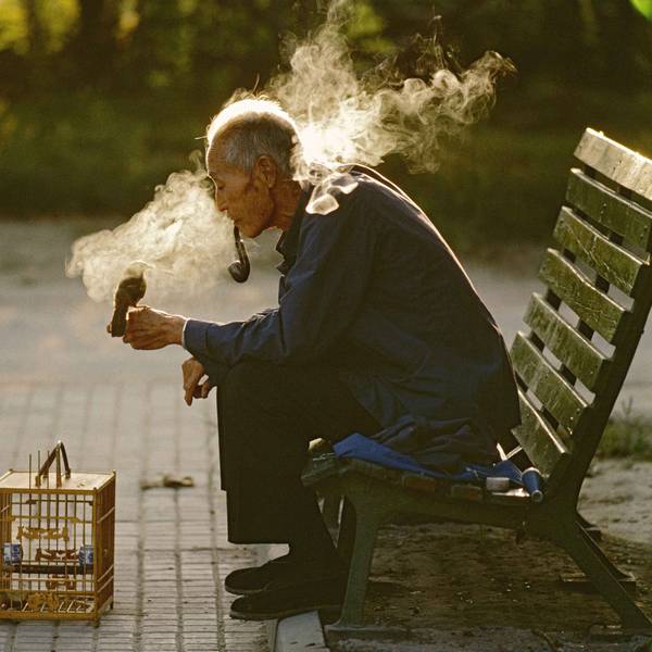 Das Bild „Old man with his pet bird in Ritan Park, Beijing, China, 1984“ zeigt einen alten Mann, der auf einer Parkbank sitzt, Pfeife raucht und auf dessen Hand ein Vogel sitzt. Auf dem Boden davor steht ein Vogelkäfig.