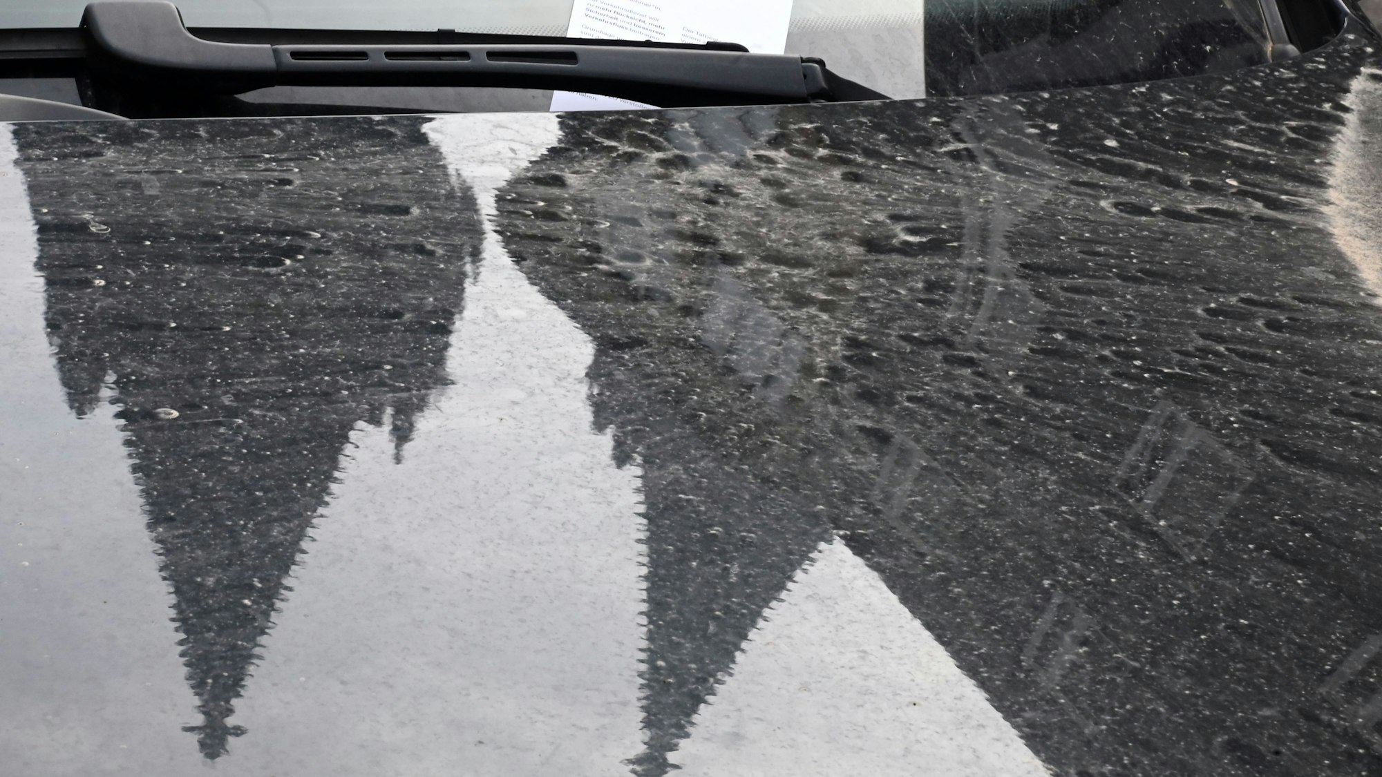 Saharastaub hat sich auf den Autos in der Stadt angesammelt.