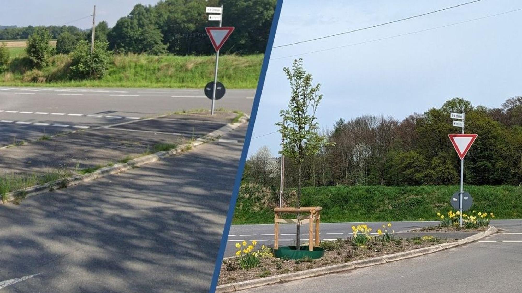 Die Stadt Rösrath sorgt für mehr Grün entlang von Straßen. In der Schneekaule ist anstelle einer asphaltierten Mittelinsel nun ein bepflanztes Beet zu sehen.