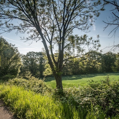 Südlich Solinger Straße, etwa gegenüber Auf den Heunen