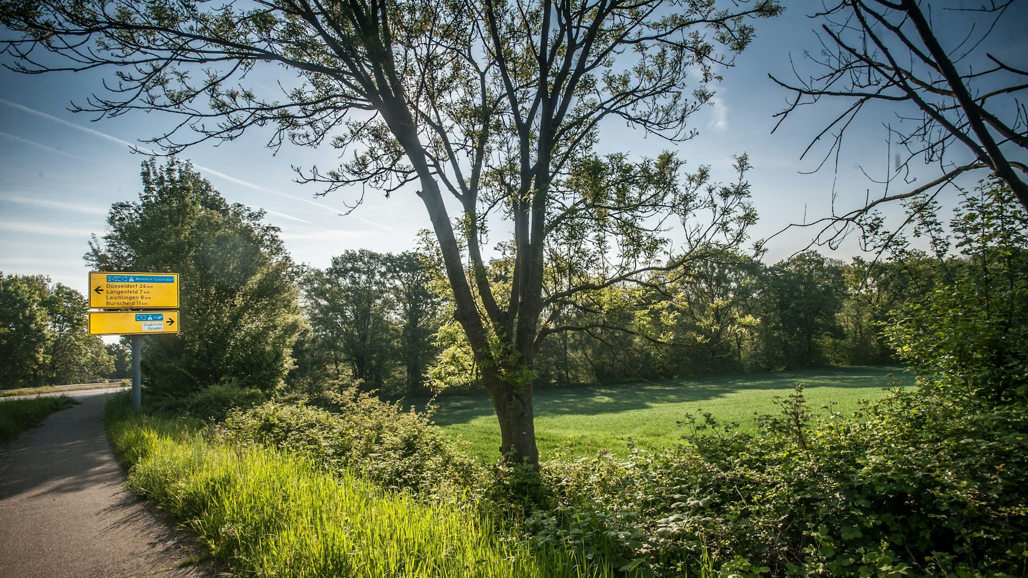 Südlich Solinger Straße, etwa gegenüber Auf den Heunen