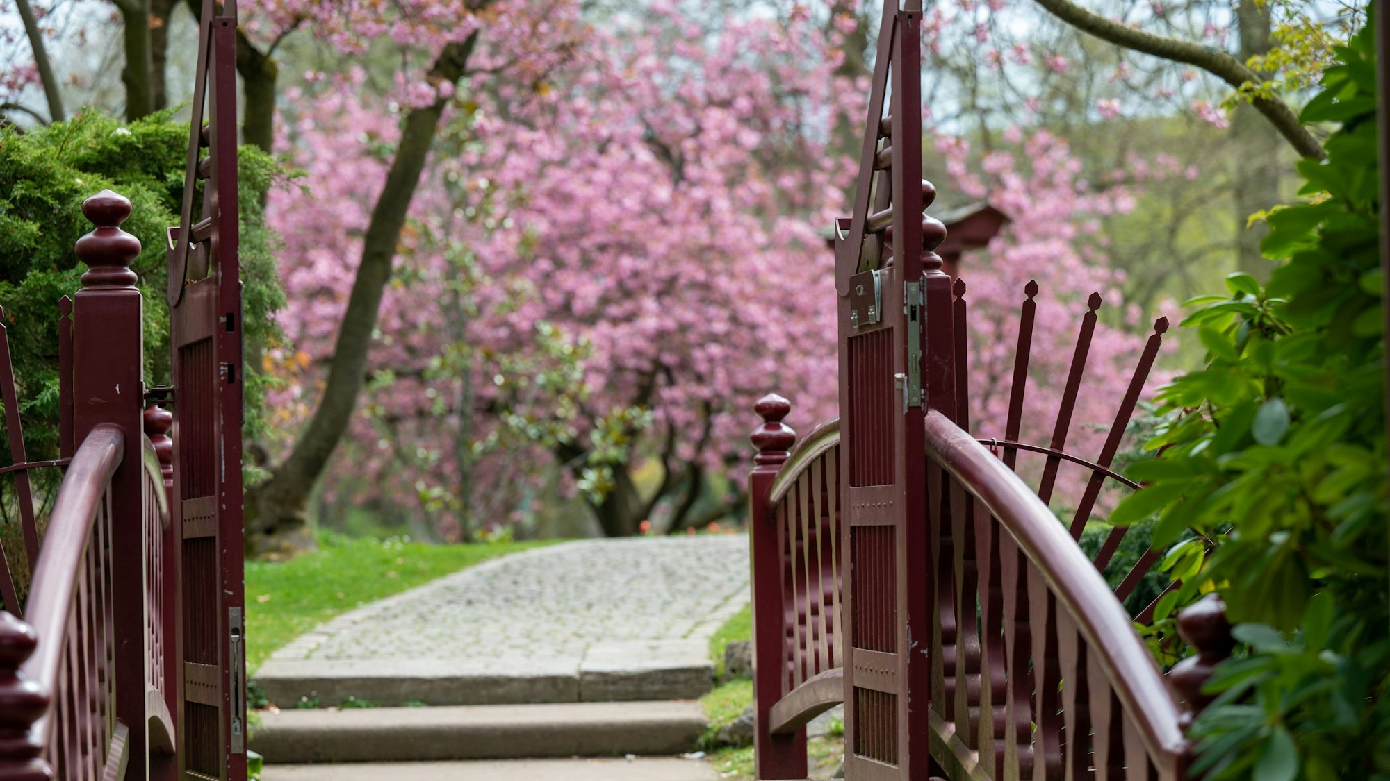 Impressionen aus dem Japanischen Garten in Leverkusen. (Archivbild)