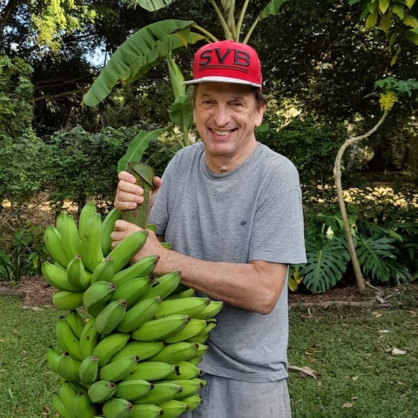 Der Bayer-04-Fan Klaus Gottschalk lebt in Nordaustralien, hier erntet er Bananen im Garten mit seiner Fußball-Kappe auf dem Kopf.
