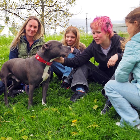 Azubi Leonie Richter, Nadine Schönrock, Maya, Tilda und Lale vergnügen sich mit Hades auf der Wiese am Tierheim.
