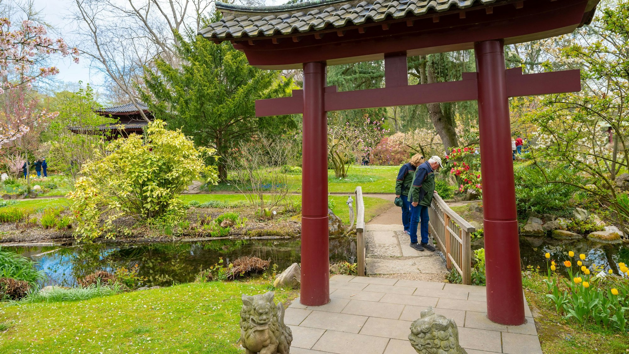 10.04.2022, Leverkusen: Impressionen im Japanischer Garten. Der Frühling des Parks der Stadt erblühen. Foto: Uwe Weiser