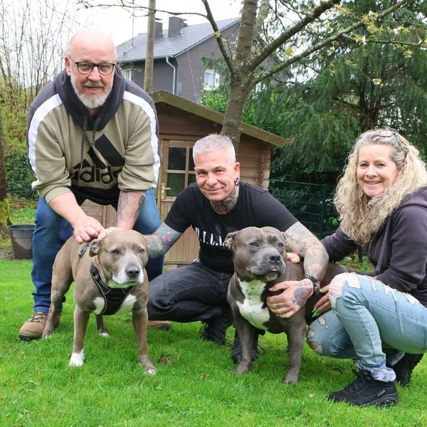 Hadern mit der Hundesteuer in Waldbröl (von links): Klaus Köster, Klaus und Katrin Vollmann mit Thyson und Cleo. Unser Foto zeigt die Gruppe beim Spielen im Garten.