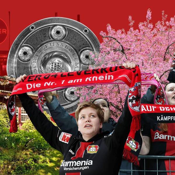 Leverkusen Montage