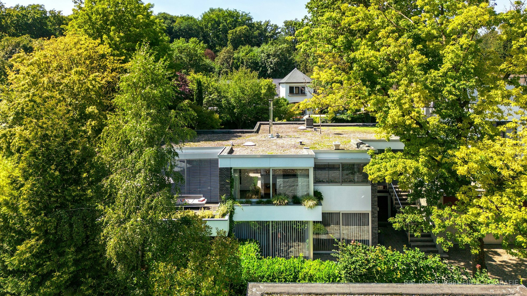 Zwischen Bäumen sind Teile der Immobilie in Königsdorf zu erkennen, unter anderem große Fensterfronten und ein Flachdach.
