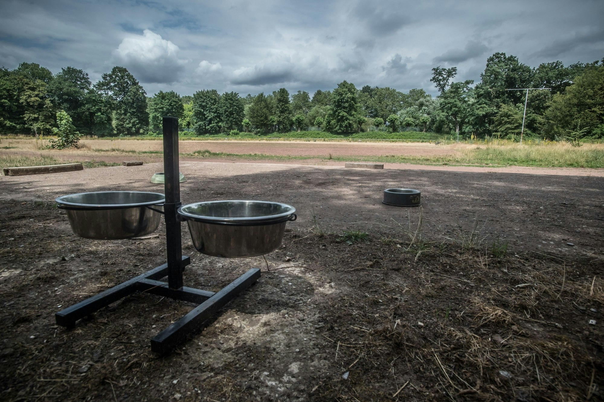 Alter BV-Platz im Stadtpark. : Wird als Hundeplatz missbraucht.Foto: Ralf Krieger