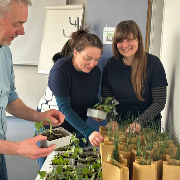 Das Projekt „Der heimische Garten als Klimaschützer“ der Hochschule Bonn-Rhein-Sieg. Professor Dr. Martin Hamer, Samantha Antonini und Alexandra Gutmann geben Testpflanzen an die Teilnehmer aus.