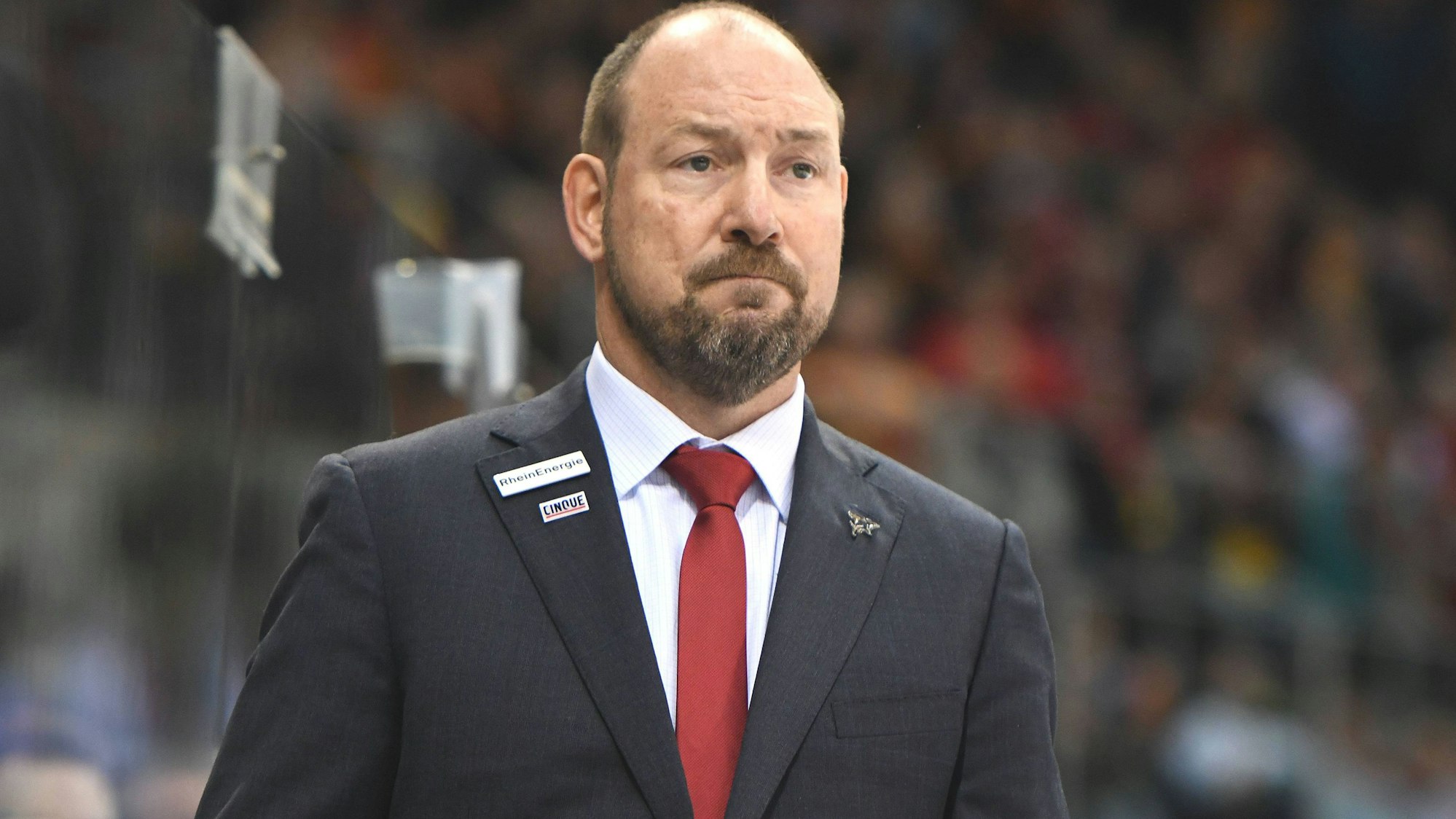 Düsseldorfer EG - Kölner Haie 26.02.2019. Trainer Dan Lacroix (Haie) an der Bande. *** Düsseldorfer EG Kölner Haie 26 02 2019 Coach Dan Lacroix Haie on the gang HM
