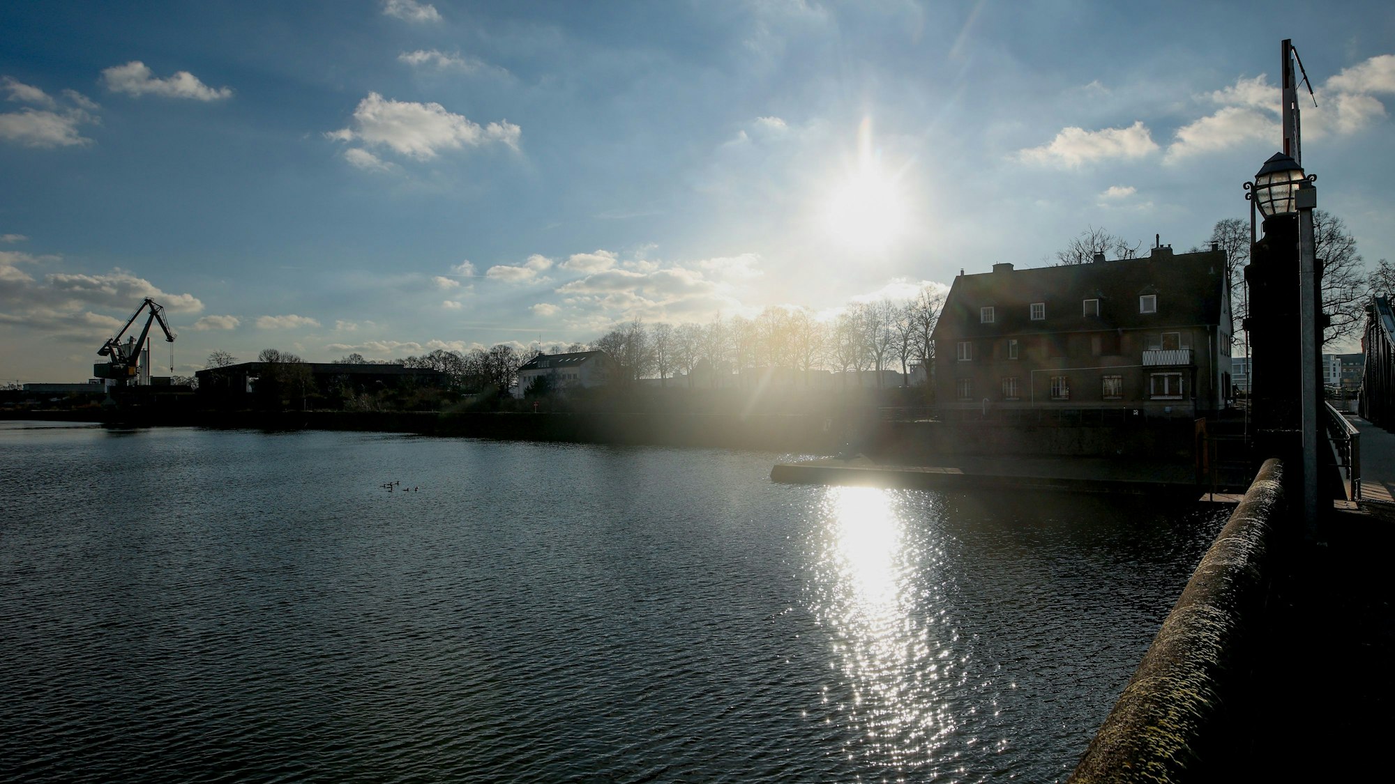 Blick auf den Deutzer Hafen am Rhein in Köln.