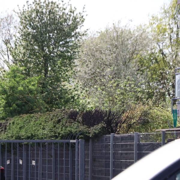 Auf einem Privatgrundstück brannte eine Hecke über eine Lange von 20 Metern.