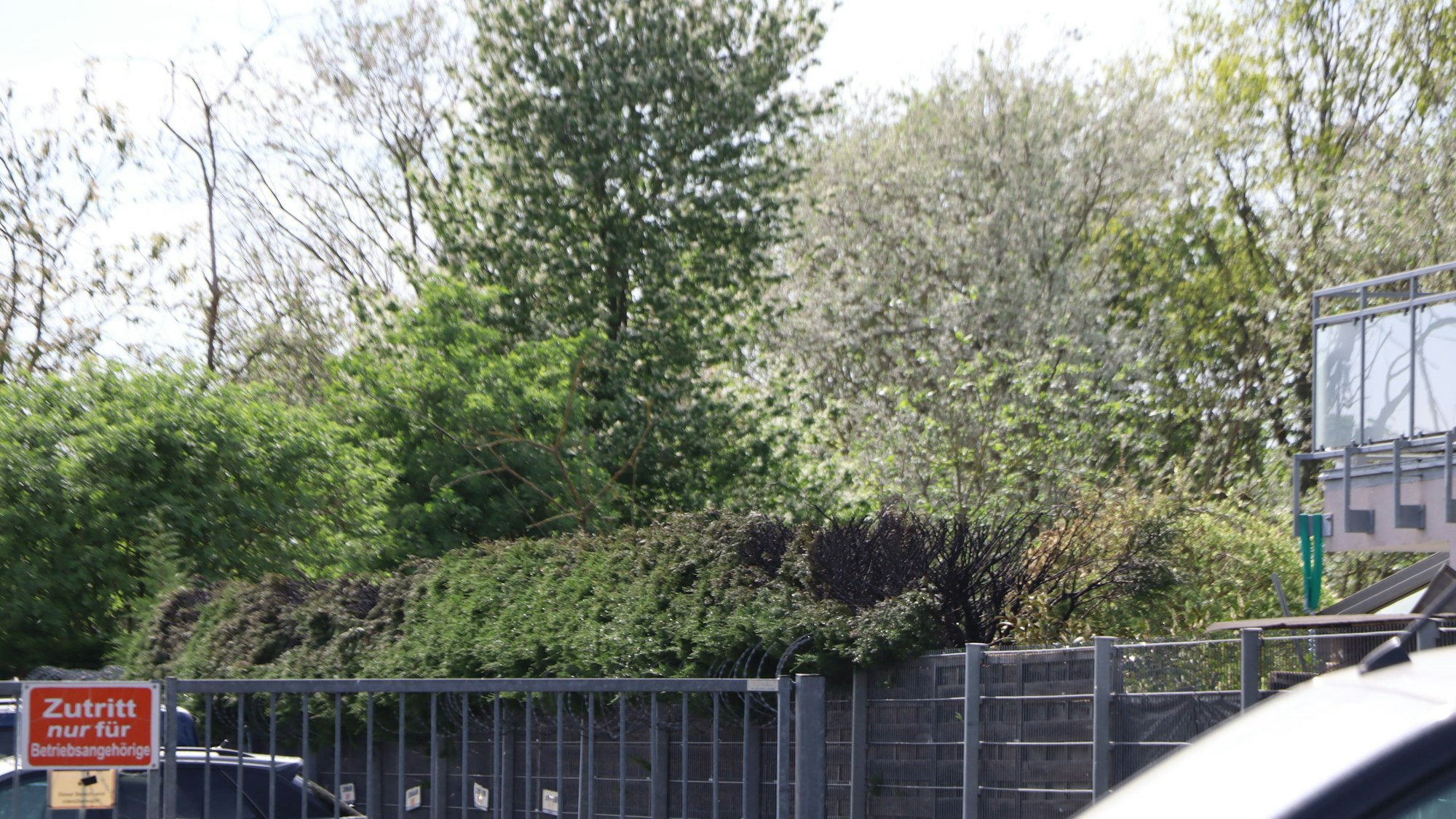 Auf einem Privatgrundstück brannte eine Hecke über eine Lange von 20 Metern.