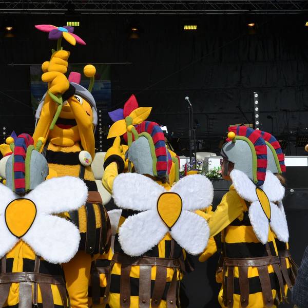 Große und kleine Bienen von den Tolbienchen zeigen eine kurze Tanzvorstellung.